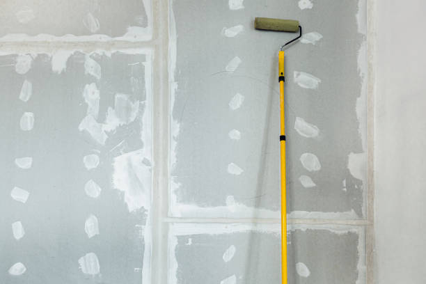 Best Drywall Sanding and Smoothing  in Grinnell, IA